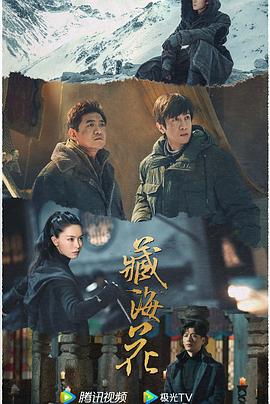 青青草网站在线播放观看 - 真男人视频