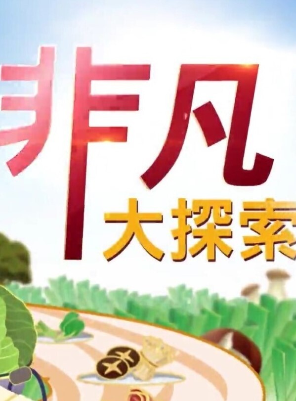 【空姐の恩赐】麻衣空姐！颤抖的淫美肉体！ - 真男人视频